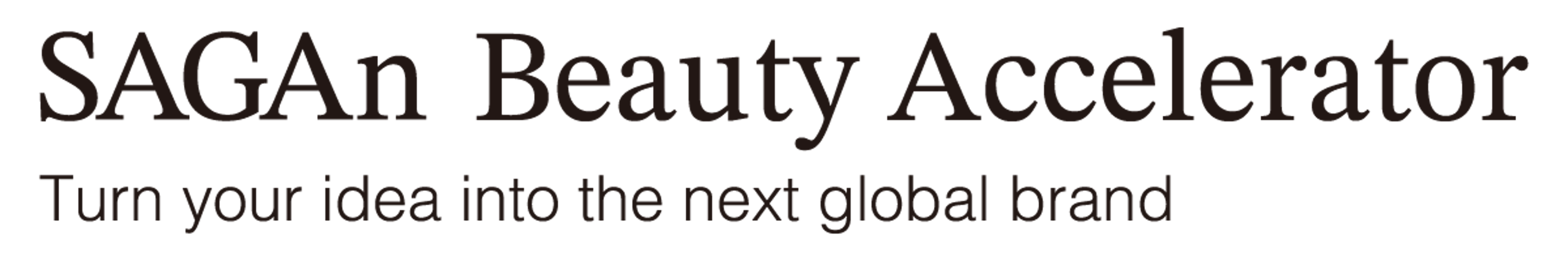 SAGAn BEAUTY (サガン ビューティー)Accelerator